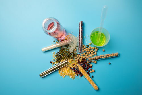 五谷食品安全農(nóng)業(yè)科技食品培育攝影圖 插畫(huà) 下載至來(lái)源處