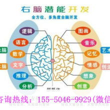 廈門(mén)學(xué)之源科技開(kāi)發(fā)公司 專注早教教材與幼教產(chǎn)品，引領(lǐng)信息技術(shù)咨詢服務(wù)